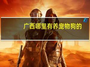 广西哪里有养宠物狗的