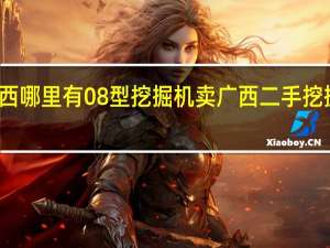 广西哪里有08型挖掘机卖 广西二手挖掘机市场