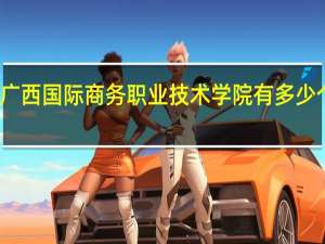 广西国际商务职业技术学院有多少个校区
