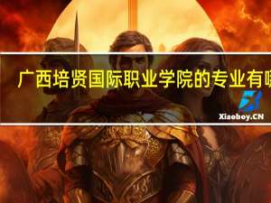 广西培贤国际职业学院的专业有哪些