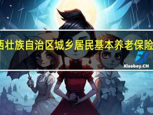 广西壮族自治区城乡居民基本养老保险经办规程