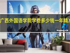 广西外国语学院学费多少钱一年精准扶贫（广西外国语学院学费是多少）