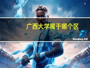 广西大学属于哪个区
