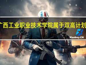 广西工业职业技术学院属于双高计划院校吗