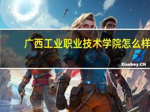 广西工业职业技术学院怎么样