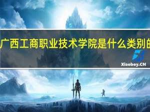 广西工商职业技术学院是什么类别的学校