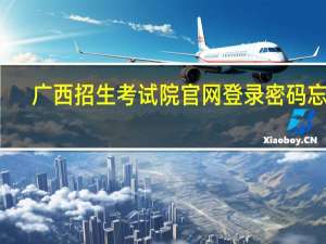 广西招生考试院官网登录密码忘了（广西考试招生院登录密码）