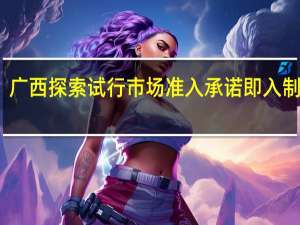 广西探索试行市场准入承诺即入制改革