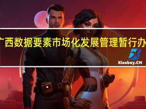 广西数据要素市场化发展管理暂行办法印发