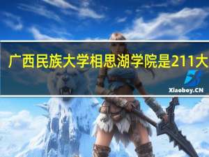 广西民族大学相思湖学院是211大学吗