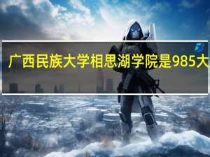 广西民族大学相思湖学院是985大学吗