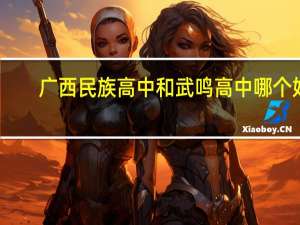 广西民族高中和武鸣高中哪个好