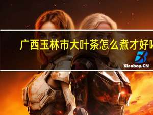 广西玉林市大叶茶怎么煮才好喝
