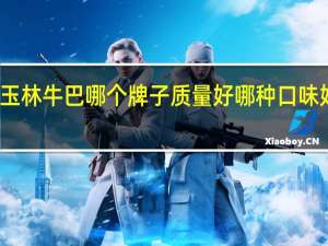 广西玉林牛巴哪个牌子质量好哪种口味好吃请推荐