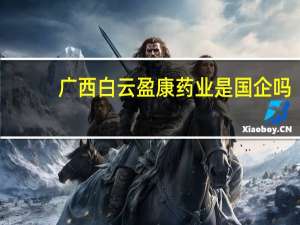 广西白云盈康药业是国企吗