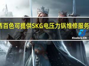 广西百色可提供SKG电压力锅维修服务地址在哪