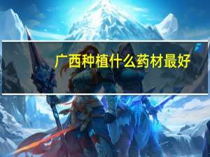 广西种植什么药材最好