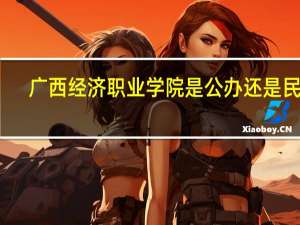 广西经济职业学院是公办还是民办
