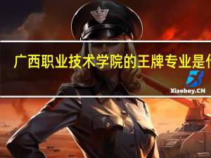 广西职业技术学院的王牌专业是什么