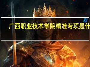 广西职业技术学院精准专项是什么
