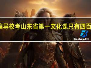 广西艺术学院编导校考山东省第一 文化课只有四百 上广艺的可能性大吗