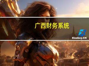 广西财务系统（广西财政会计网首页怎么不见）