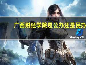广西财经学院是公办还是民办