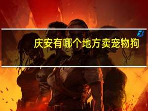 庆安有哪个地方卖宠物狗