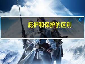 庇护和保护的区别