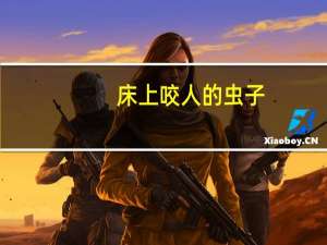 床上咬人的虫子（咬人的虫子）