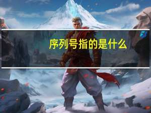 序列号指的是什么