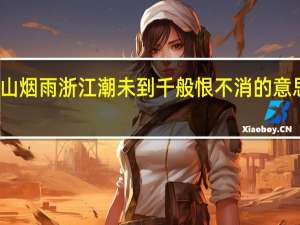 庐山烟雨浙江潮未到千般恨不消的意思是什么