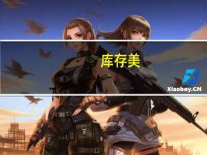 库存美