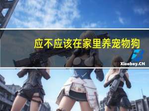应不应该在家里养宠物狗