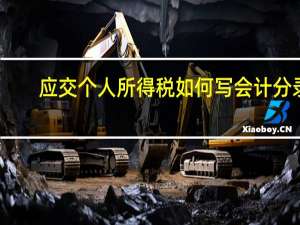 应交个人所得税如何写会计分录