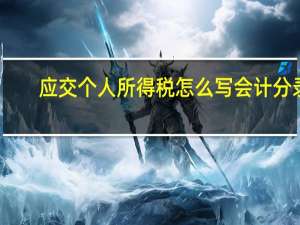 应交个人所得税怎么写会计分录