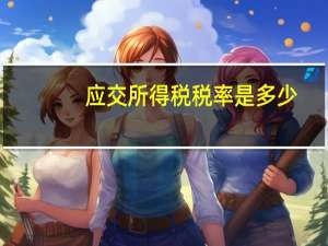 应交所得税税率是多少