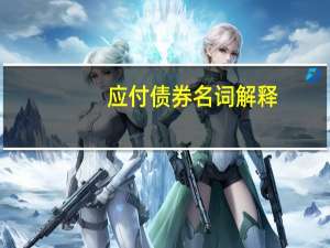 应付债券名词解释