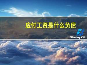 应付工资是什么负债