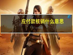 应付款核销什么意思