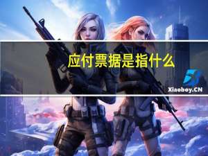 应付票据是指什么