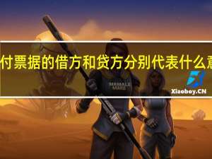 应付票据的借方和贷方分别代表什么意思求解