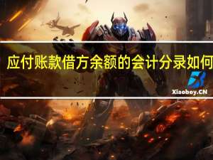 应付账款借方余额的会计分录如何处理？