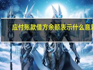 应付账款借方余额表示什么意思