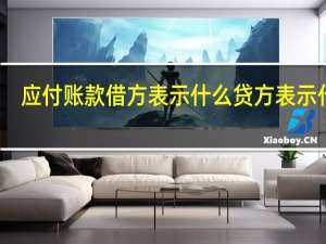 应付账款借方表示什么贷方表示什么（应付账款的借贷方表示什么意思）