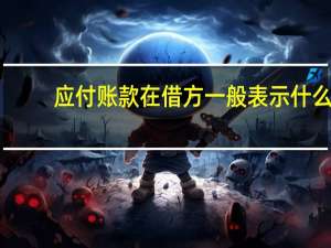 应付账款在借方一般表示什么