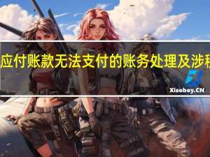 应付账款无法支付的账务处理及涉税政策（应付账款无法支付的账务处理）