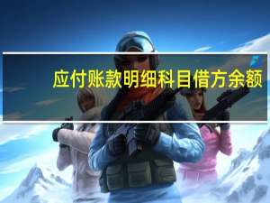 应付账款明细科目借方余额（在科目余额表中 应付账款借方余额表示什么意思）
