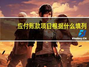 应付账款项目根据什么填列