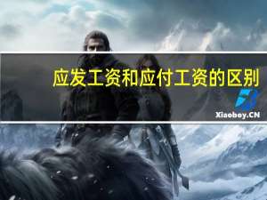 应发工资和应付工资的区别（应发工资怎么理解）